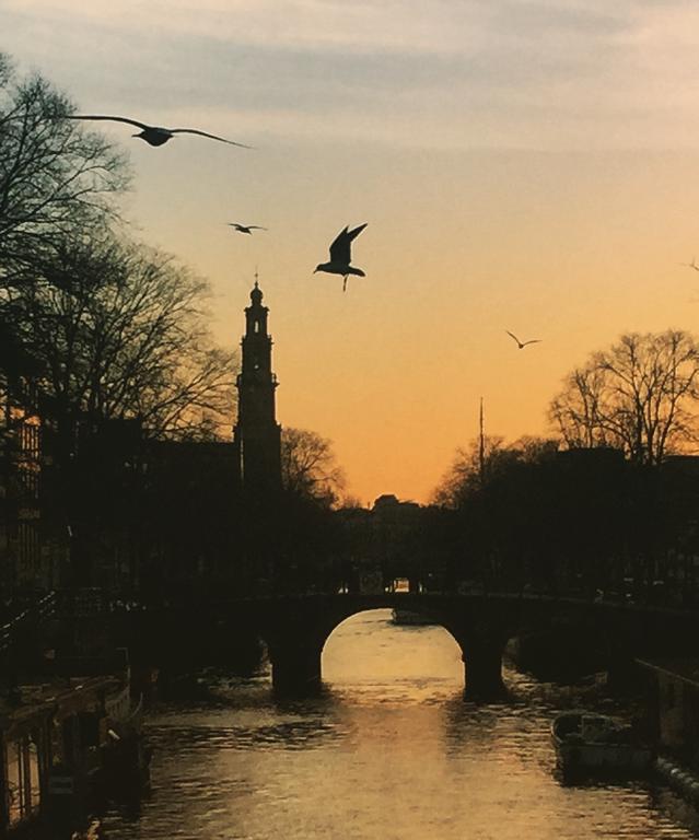 Studio Apartment,158589267:JPEG