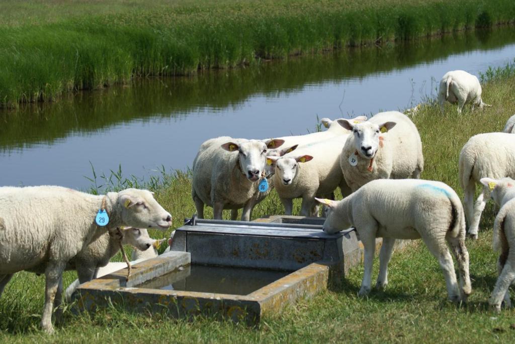 Twin Room with Shared Bathroom and Toilet,31806257:JPEG