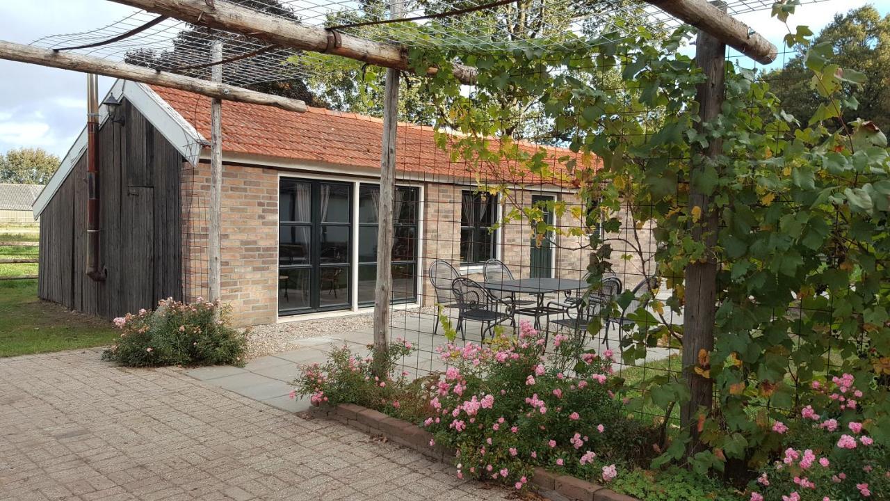 Cottage Garden View