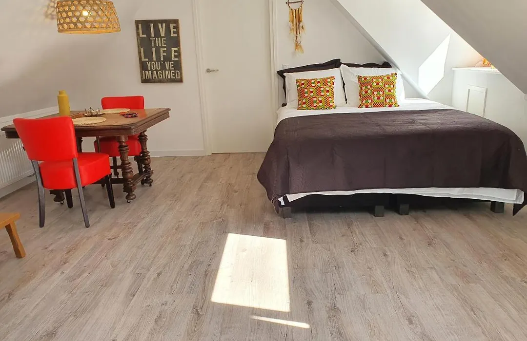 Triple D B&B-1