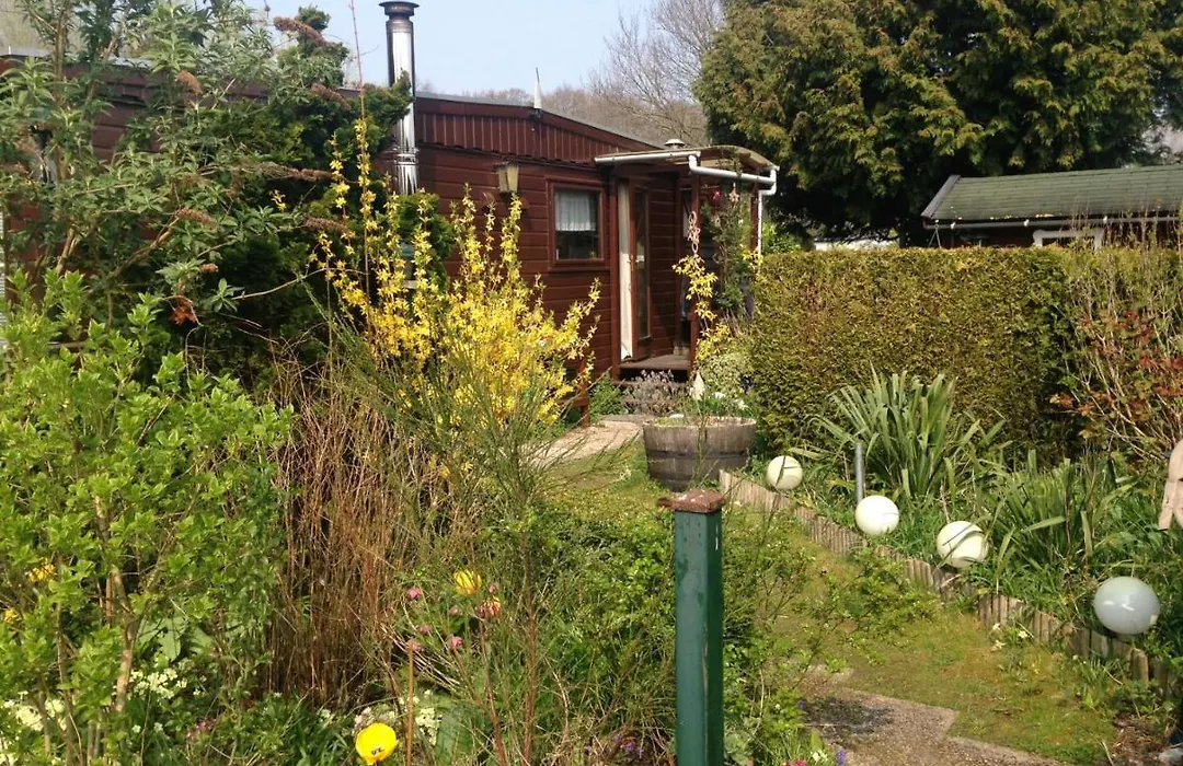Houten chalet-1