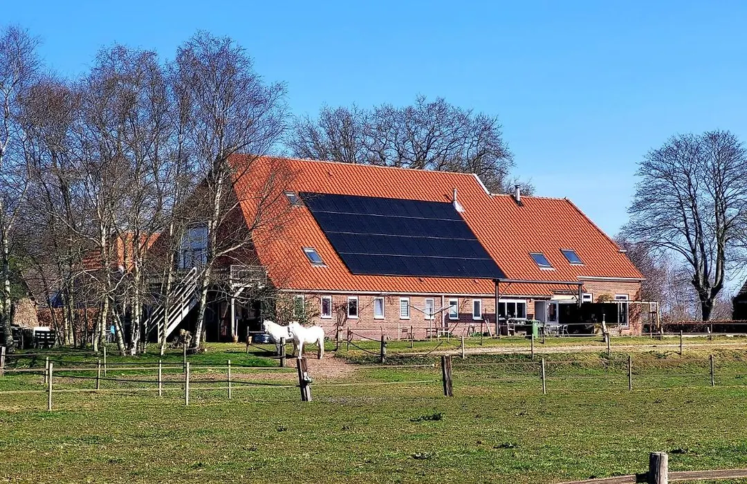 Slaopen en Stoet-1