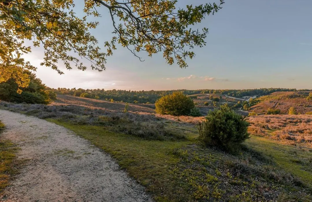 Landal Coldenhove-1