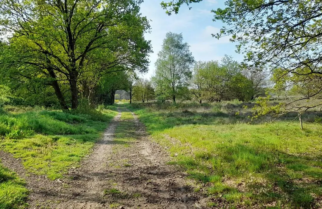 Bed&Breakfast De Kleine Vos-1
