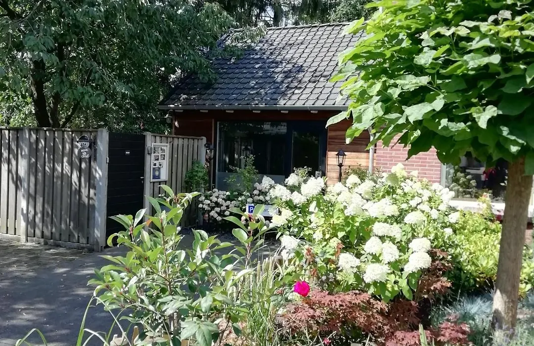 B & B Chawe-1
