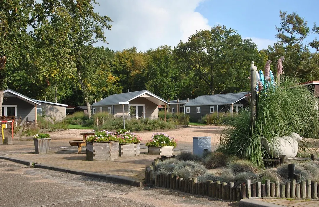 Vakantiepark Schouwen-1