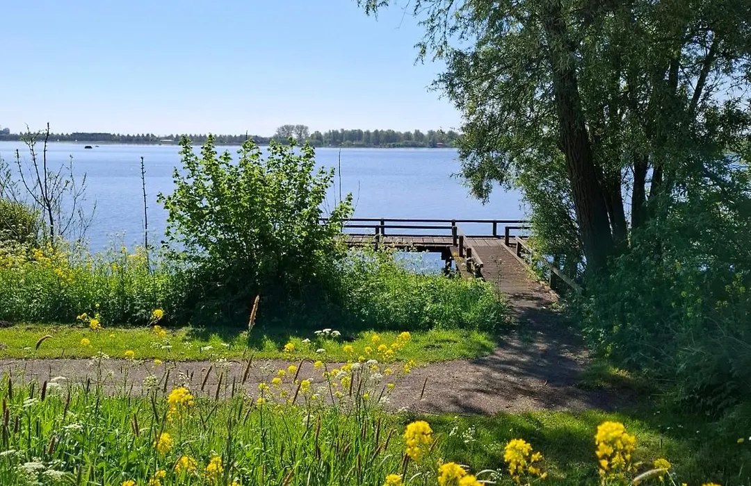 Sweetlake-1