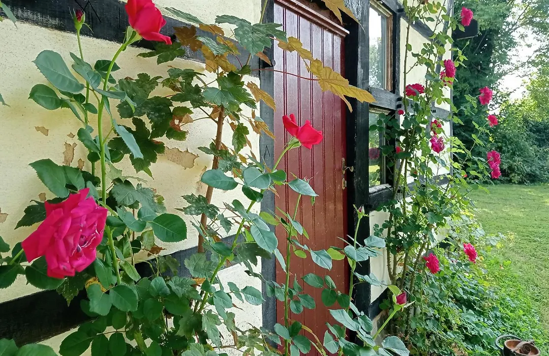 BnB Het Geluk van Limburg-1