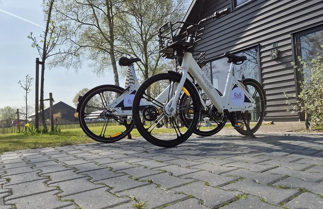 B&B Aan de Lankeren -exclusief ontbijt--1