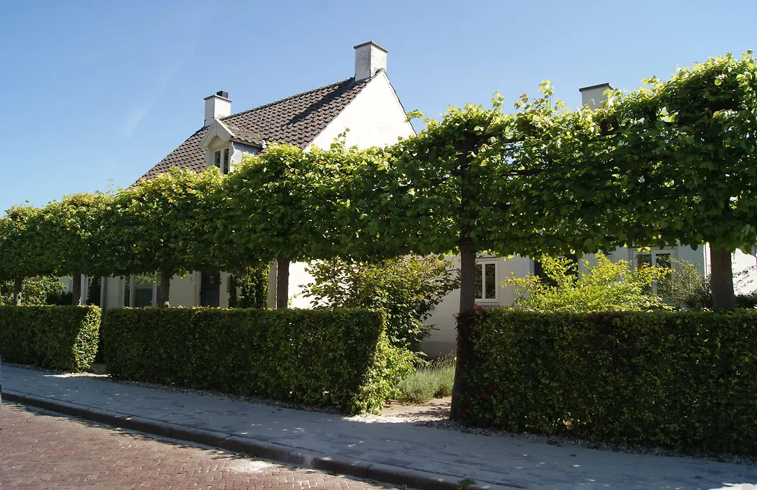 Bed&Breakfast Het Dijkhuis Eersel-1