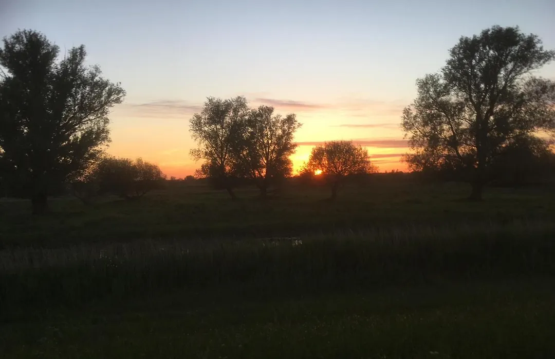 Bnb Purmerland-1