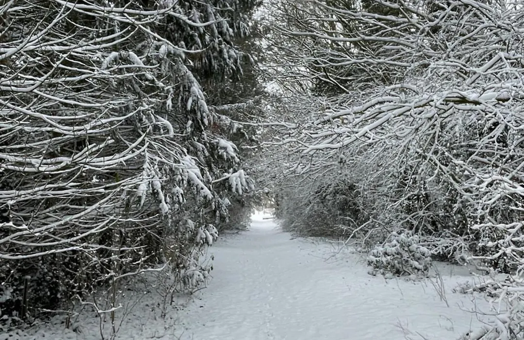 Wapen van Exloo-1