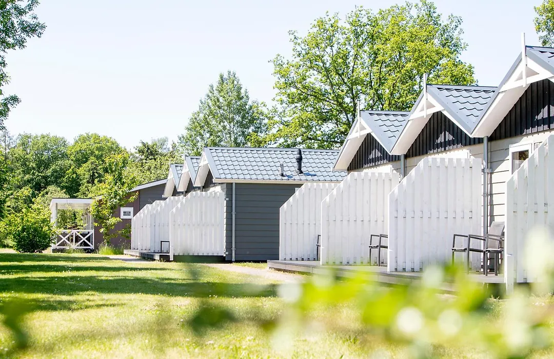 Vakantiepark Witterzomer-1