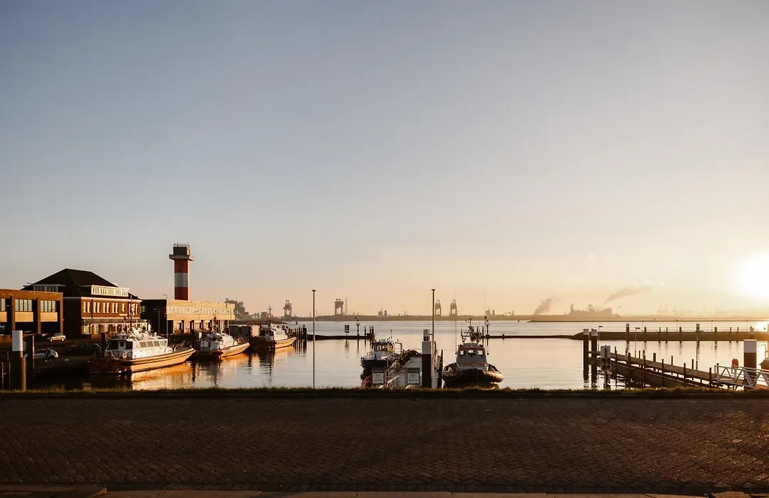 Mijn Torpedoloods-1