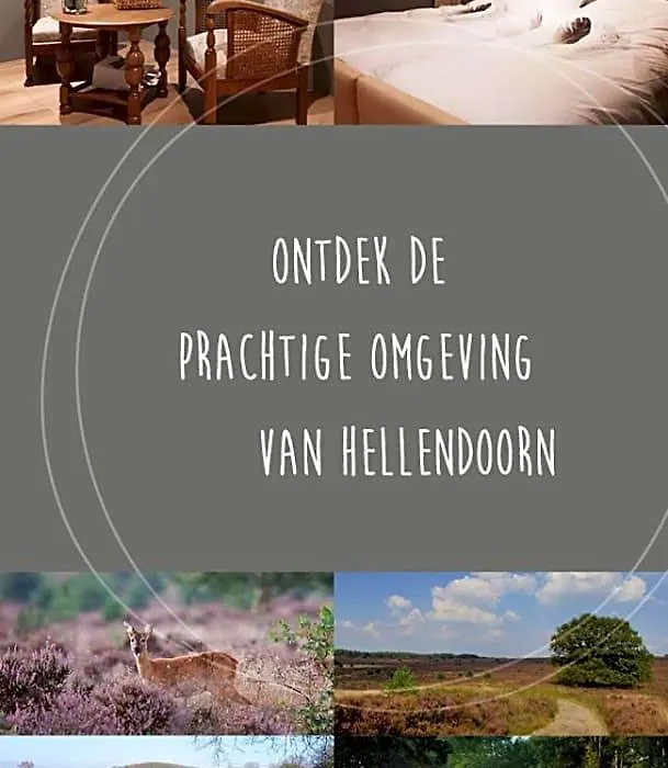 Bed&Breakfast Hellendoorn-1