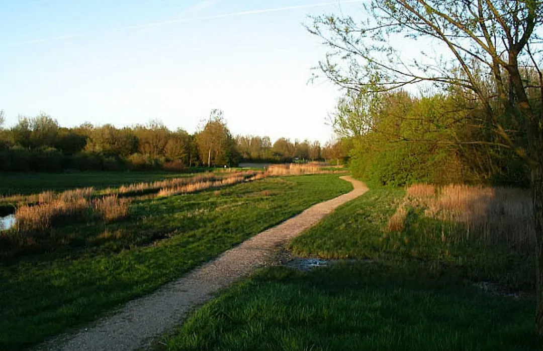 Swaenenburgh-1