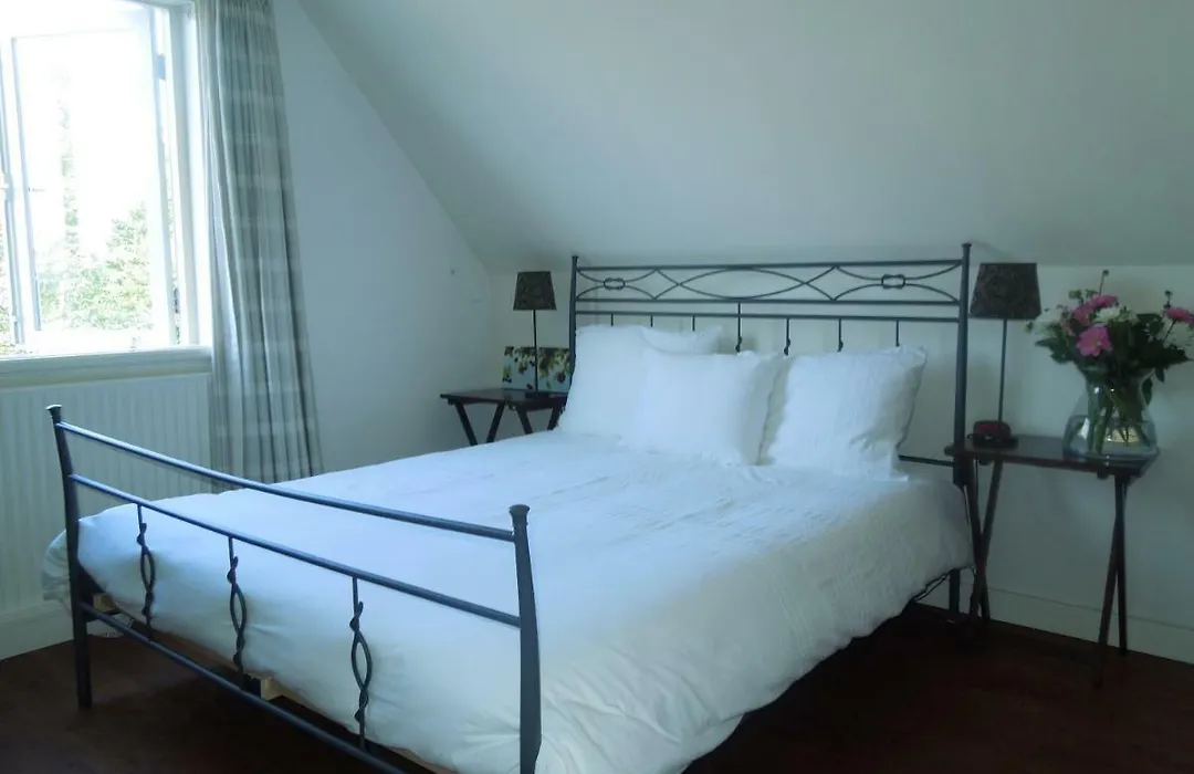 Bed & Breakfast Frans Hals Haarlem-1