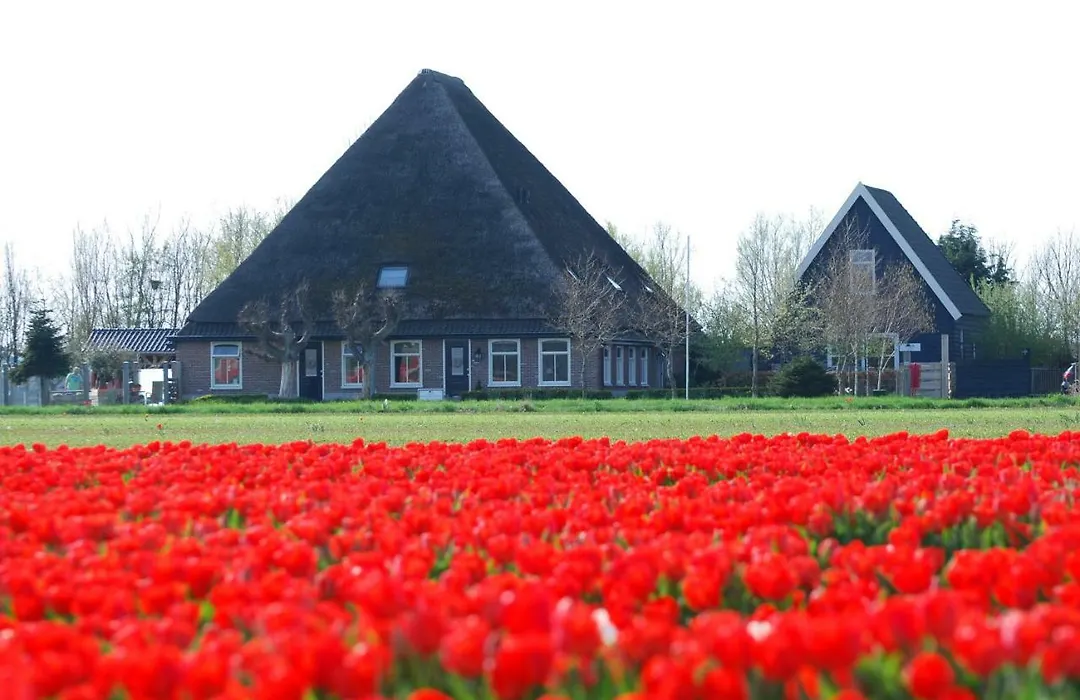 B&B Idylle aan Zee incl 2 Wellnessstudios-1