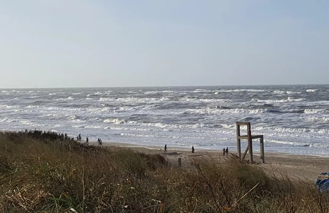 Near The Beach-1