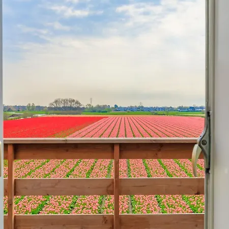 B&B Blossom-2
