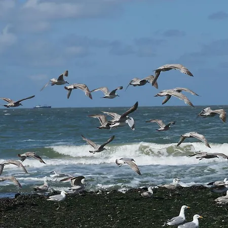 Bed & Breakfast Aan Zee-2
