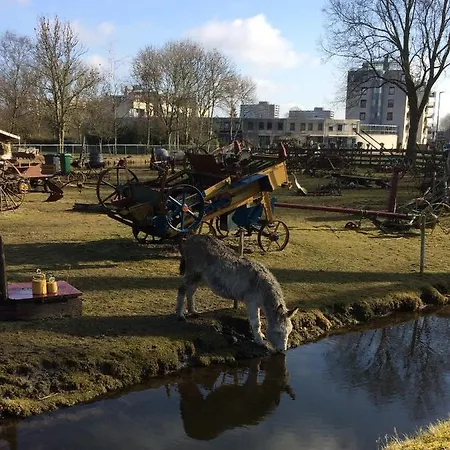 Haarlem 49-3