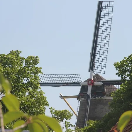 Silly'S Inn-3
