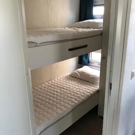 Blauwe Zeedistel-2