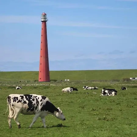 Overnachten Onder De Lange Jaap-3