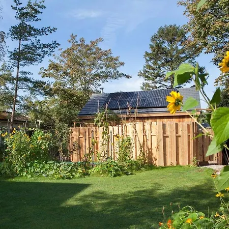 Ecolodge De Parel Schoorl-3