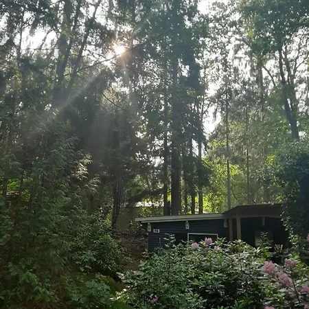 De Boshut Vledder-2