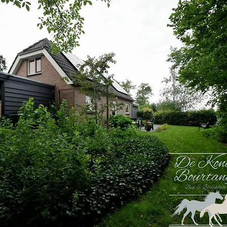 B&B De Konik Bourtange-2