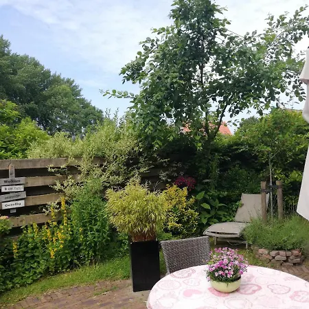 De Zes Wielen-3