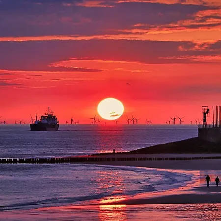 Westerschelde B&B-3