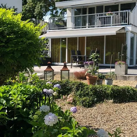 B&B Rose-3