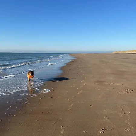 Wandelen In Zeeland-3