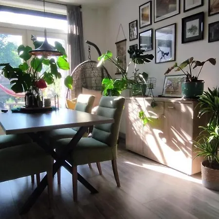 Room In Cozy House In Nijmegen-3