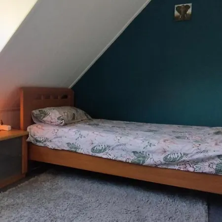 Room In Cozy House In Nijmegen-2