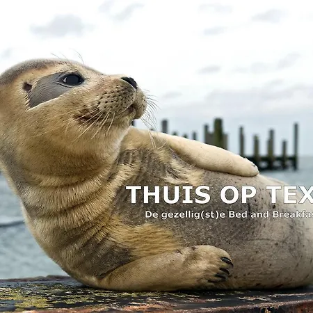 Thuis op Texel-3