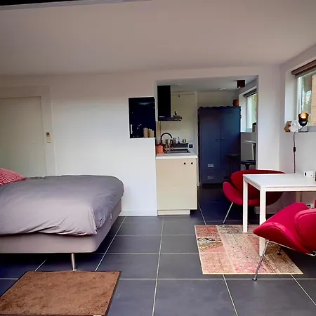 Naar Ineke-3