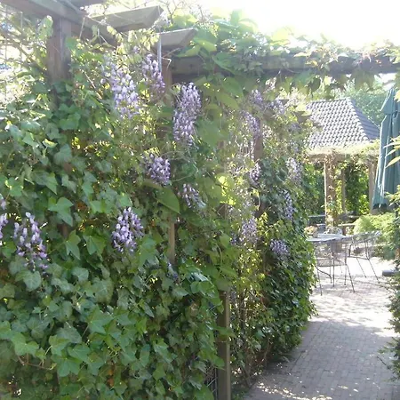 Hotel Norg-3