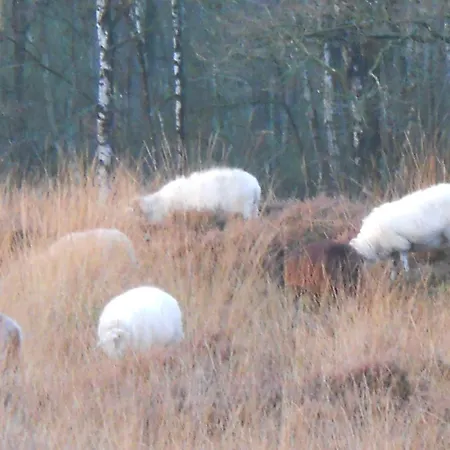 Slaopen en Stoet-3