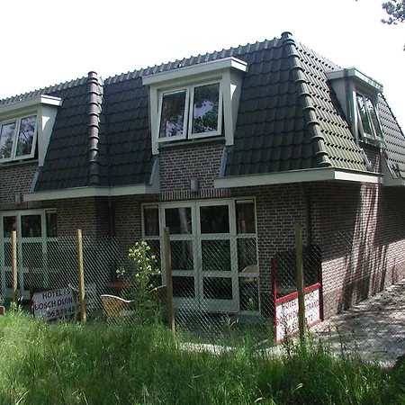 Hotel Studio Bosch Duin Strand-3