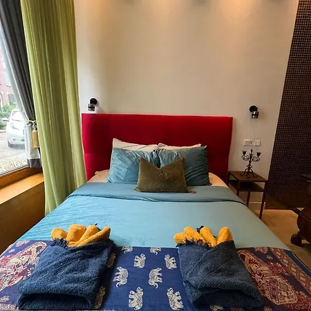 Boutique Amsterdam Homestay-2