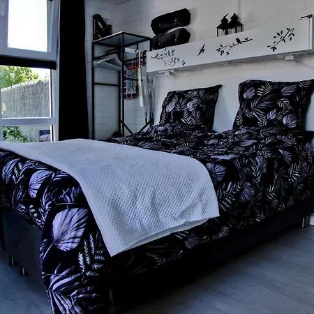 Emmen Bed And Breakfast-2