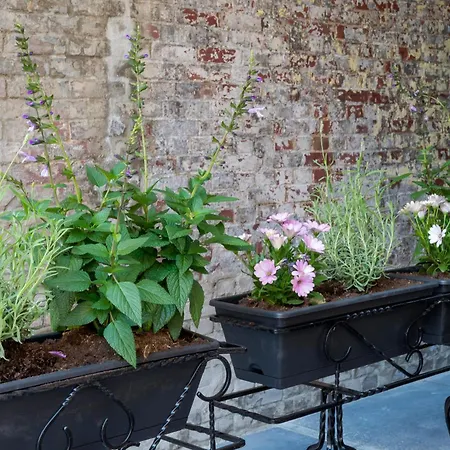 Cozy And Budget-Friendly Stay In Tilburg For 2-3