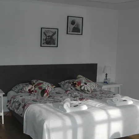 Bed & Breakfast De Vrijheid-3