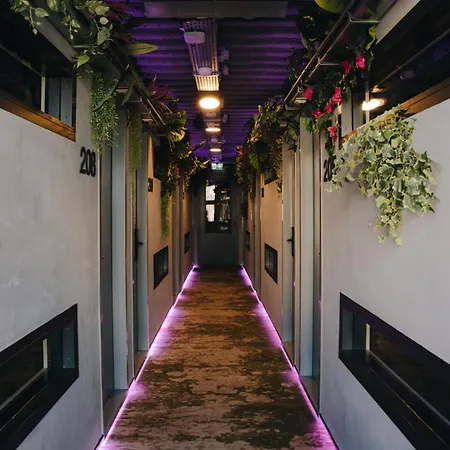 This HoTel-3