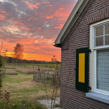 Erve Zonnehoeve B&B en Wijngaard-2