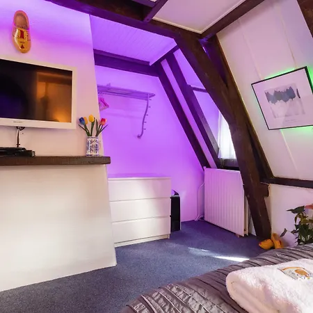 Tulip Of Amsterdam-2